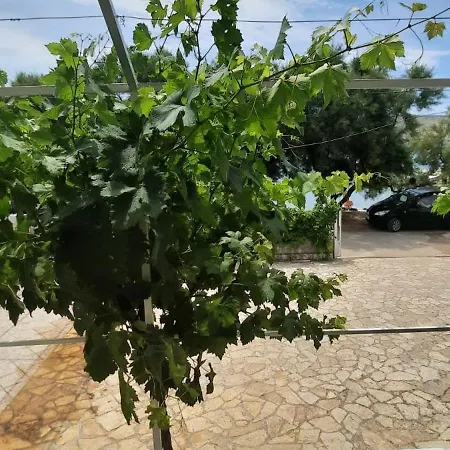 Ana Bilota *